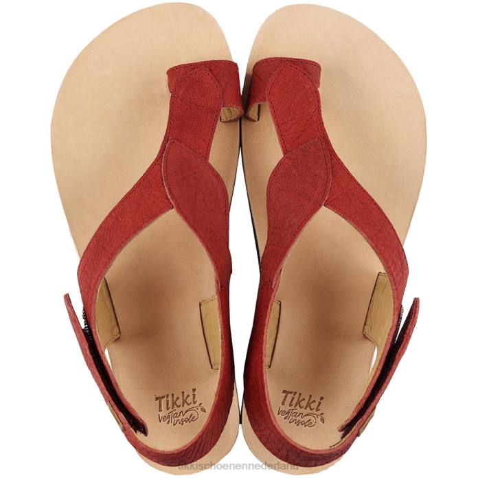 blotevoetensandalen soul v2 volwassenen scharlaken Tikki schoenen JVXT226